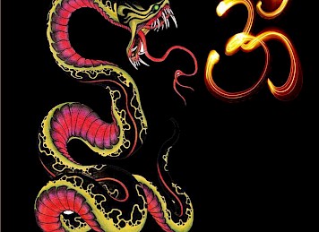 हिन्दु जागरण नेपाललको  प्रकाशित पुस्तिकाहरू